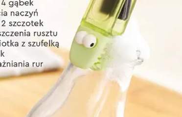 gąbka
