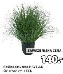 Roślina sztuczna Havelle