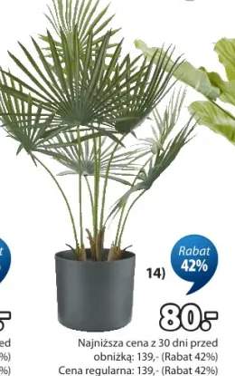 Roślina sztuczna Rolf