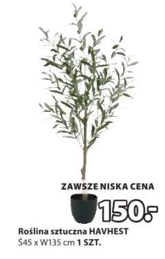 Roślina sztuczna HAVHEST