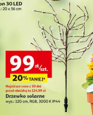 drzewko led