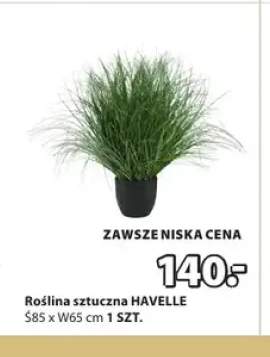 Roślina sztuczna HAVELLE Ś85xW65cm