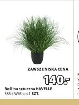 Roślina sztuczna HAVELLE Ś85xW65cm