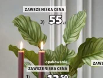 Roślina sztuczna ROLF