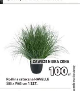 Roślina sztuczna Havelle
